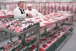 عرضه گوشت قرمز به قیمت سال گذشته