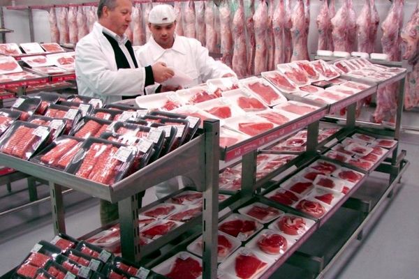 عرضه گوشت قرمز به قیمت سال گذشته