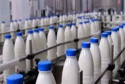 لبنیات گران می شود